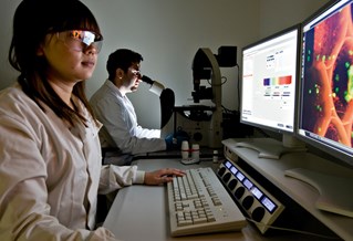 Two scientists examine medical cell diagrams on computer screens and through microscope technology.