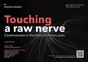 Graphic publicising inaugural lecture titled: Touching a raw nerve. Controversies in the field of chronic pain, featuring nerve endings as white lines on a black background